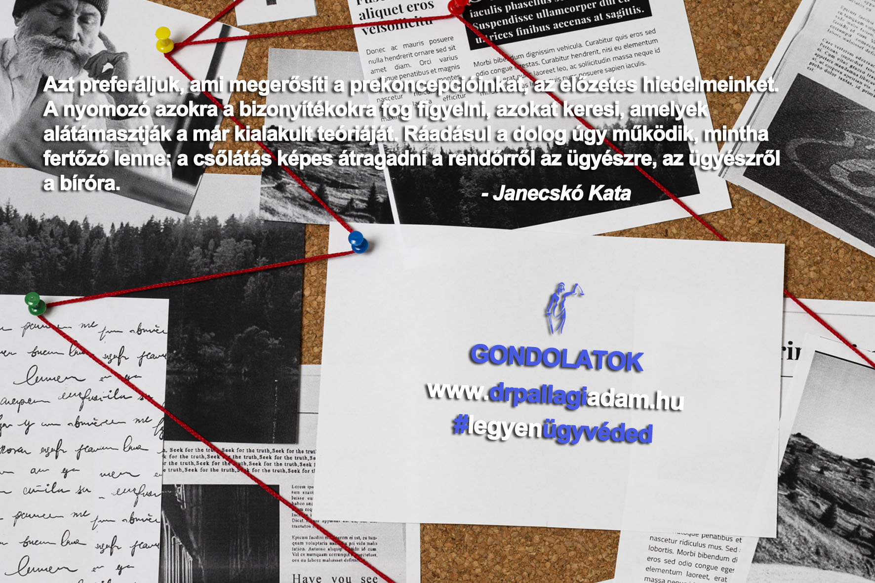 Read more about the article Janecskó Kata
